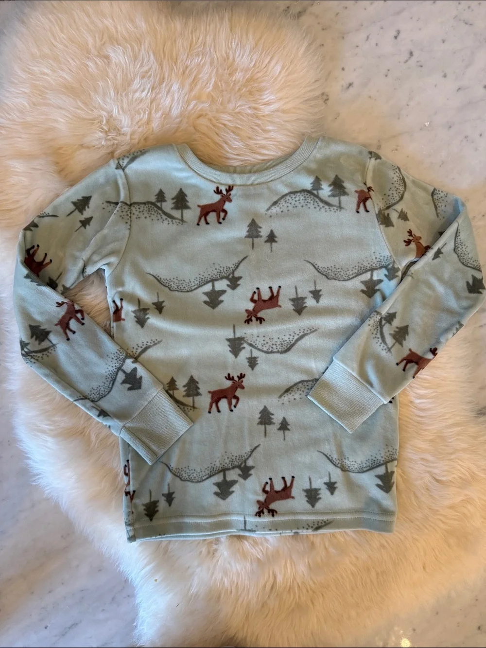 Carter's Moose Dreaming 3-Piece PJ Set 5T